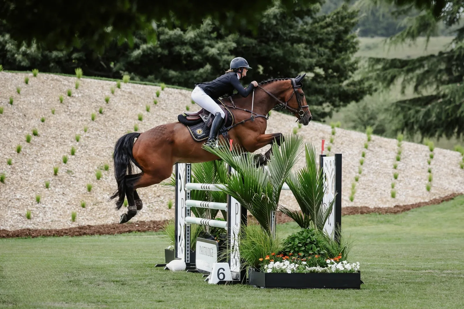 Takapoto Estate equestrian venue