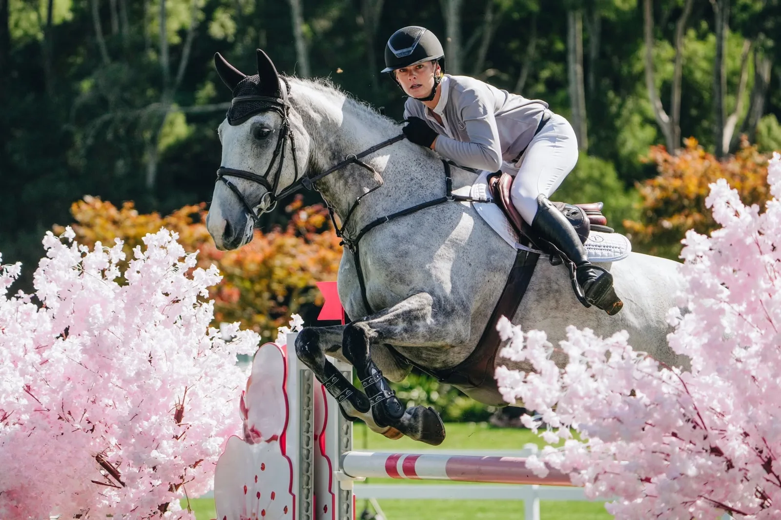 Takapoto Estate equestrian venue