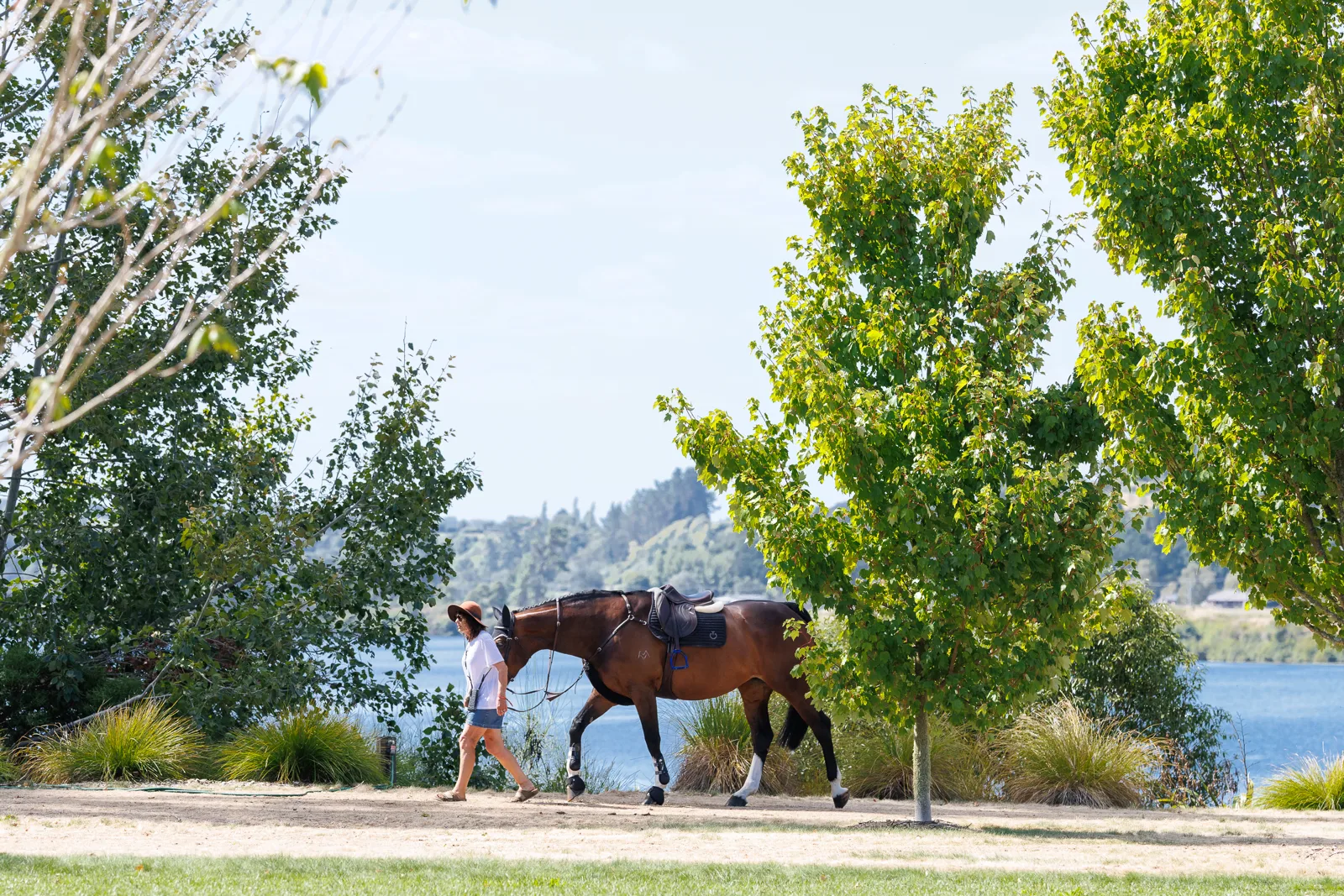 Takapoto Estate equestrian venue