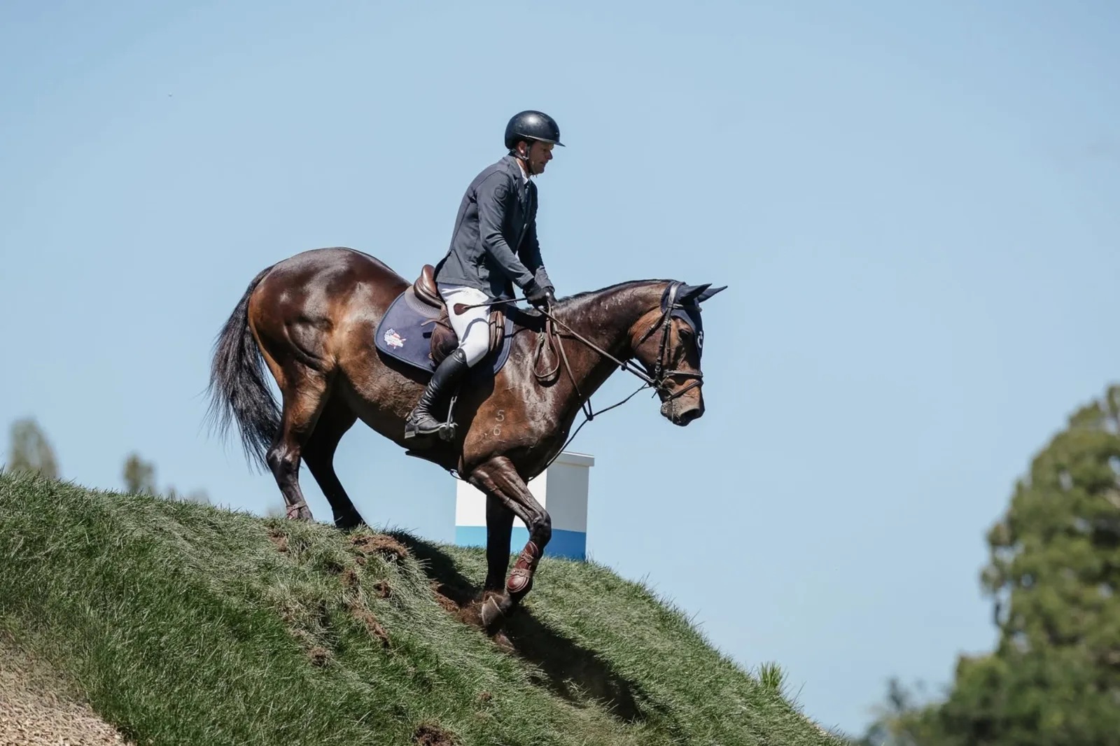 Takapoto Estate equestrian venue