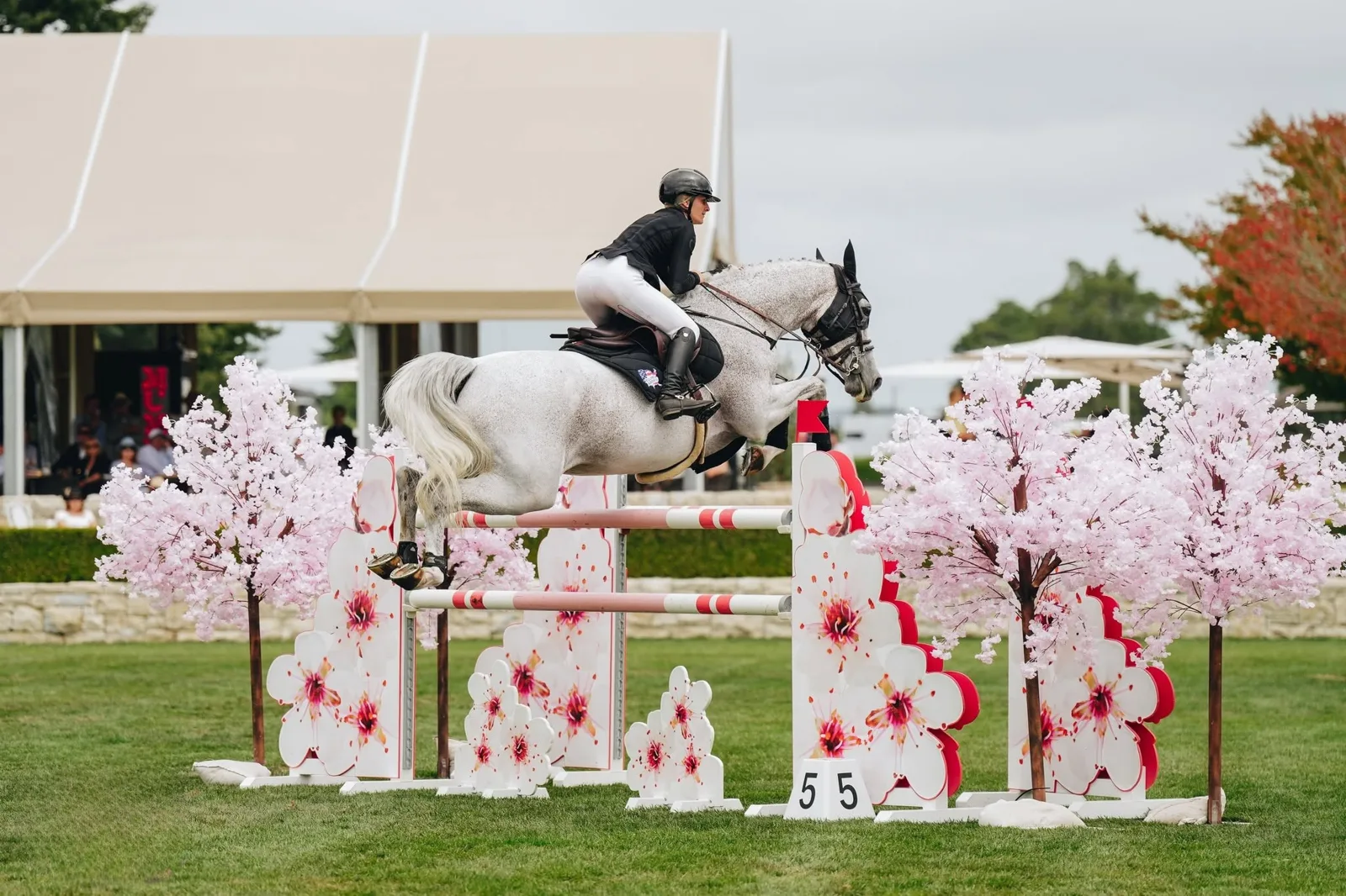 Takapoto Estate equestrian venue