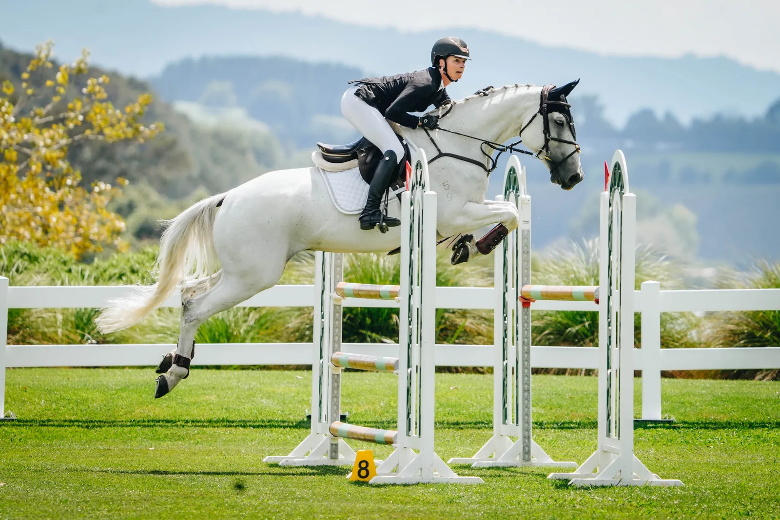 Takapoto Estate equestrian venue