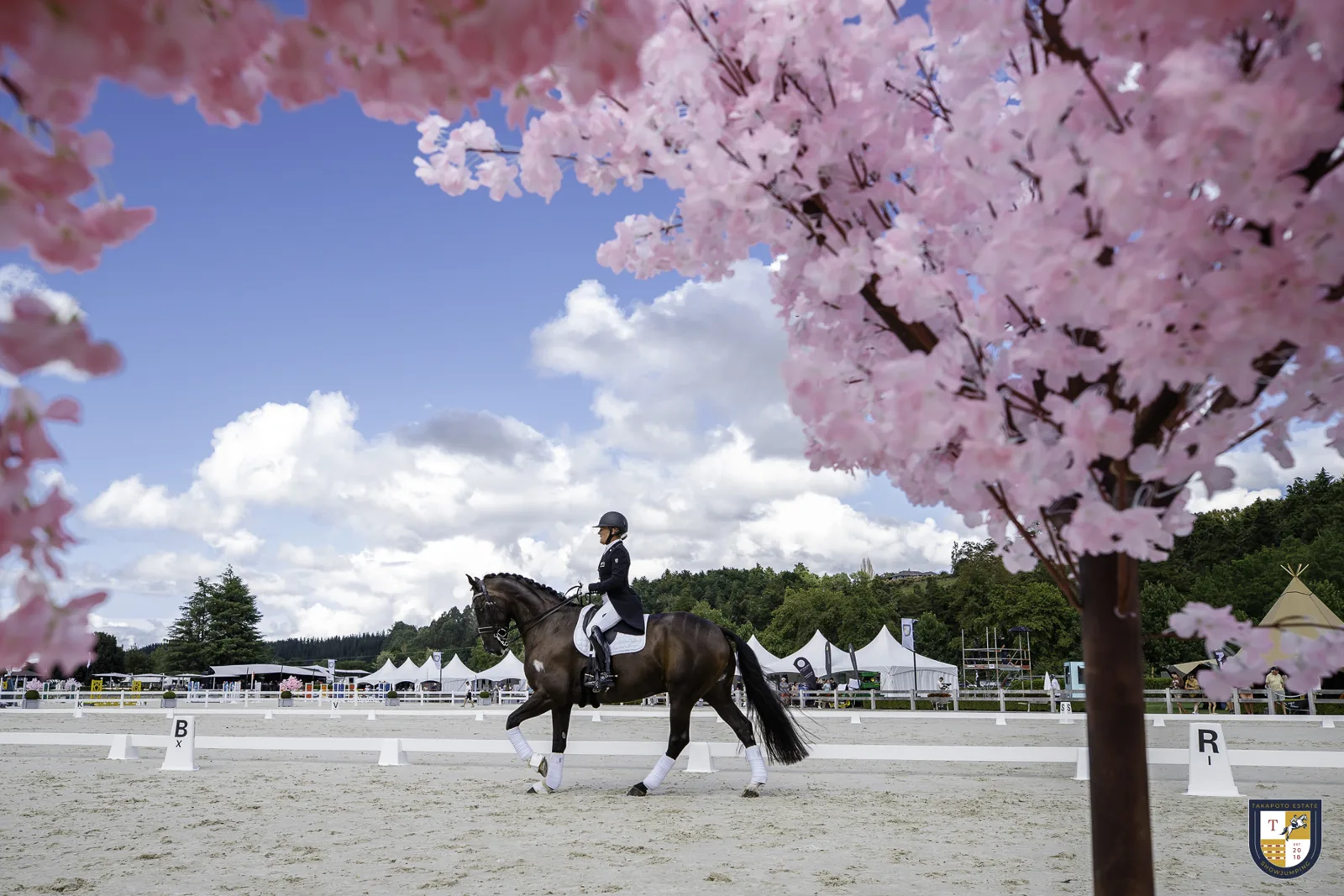 Takapoto Estate equestrian venue