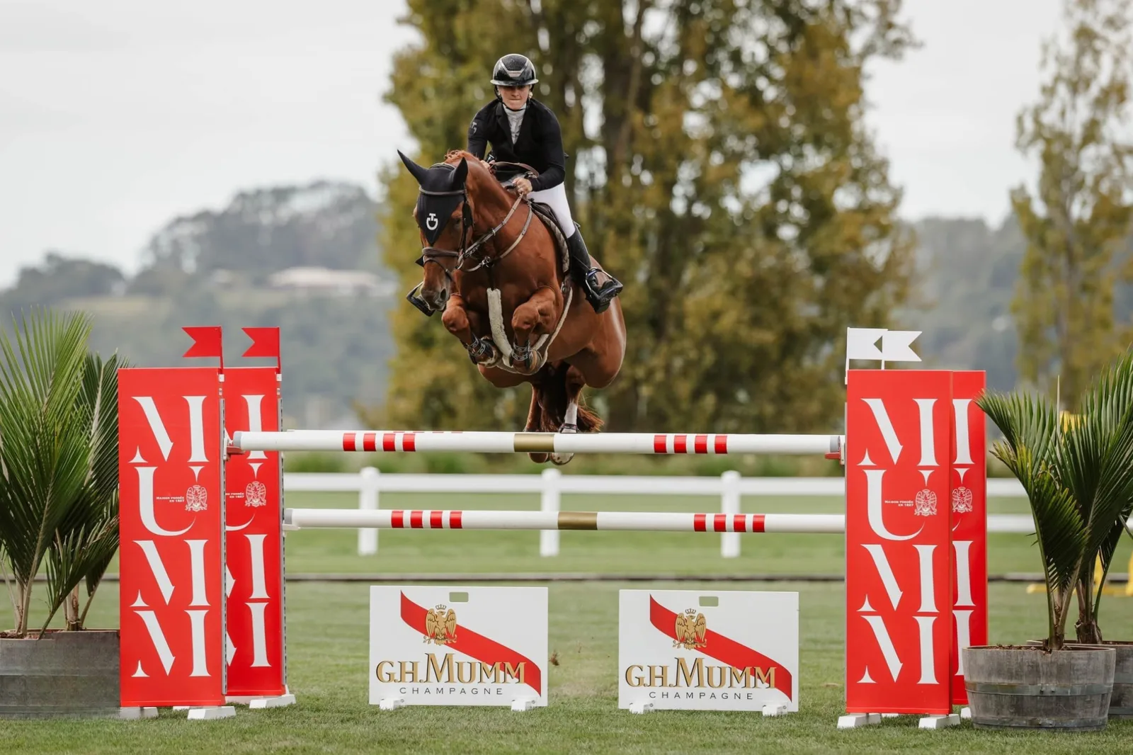 Takapoto Estate equestrian venue