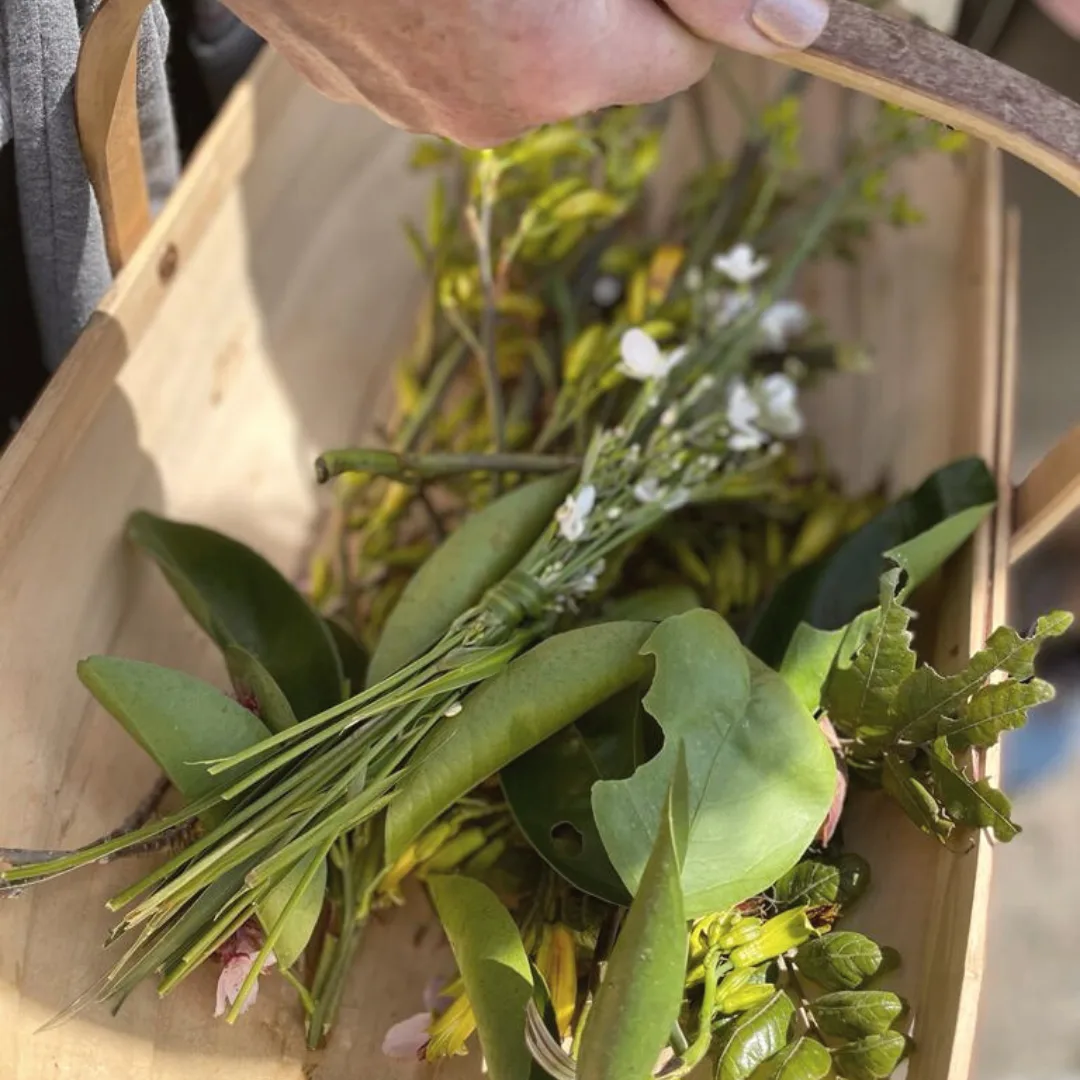 Foraging botanicals for Forager's Gin