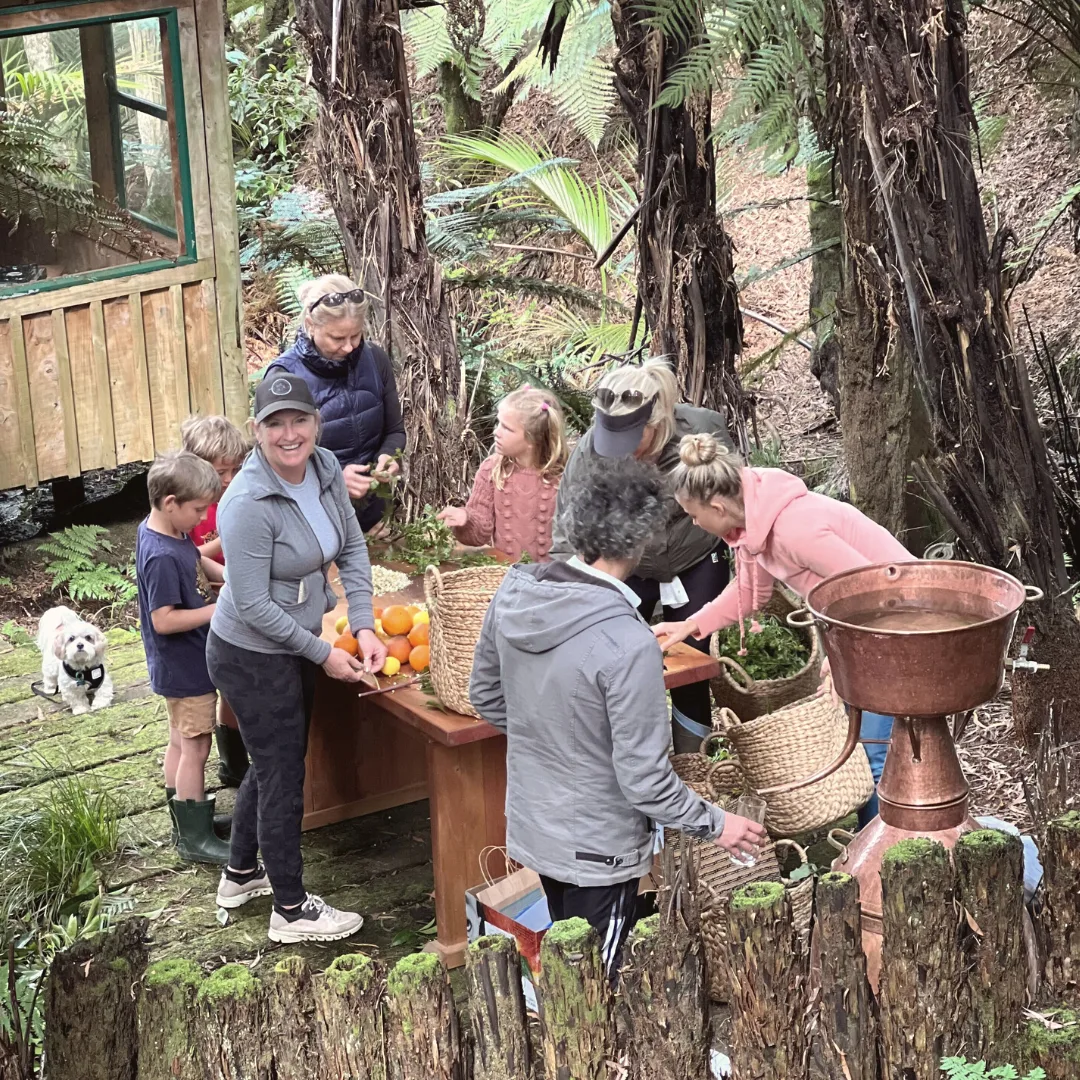 Foraging botanicals for Forager's Gin