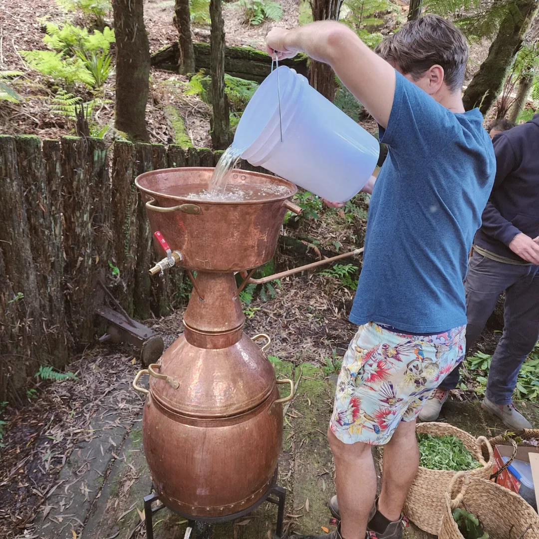 Foraging botanicals for Forager's Gin