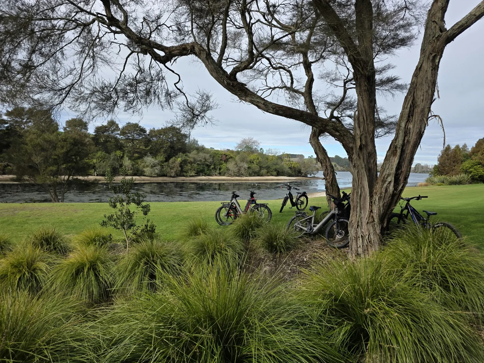 Takapoto Estate tour