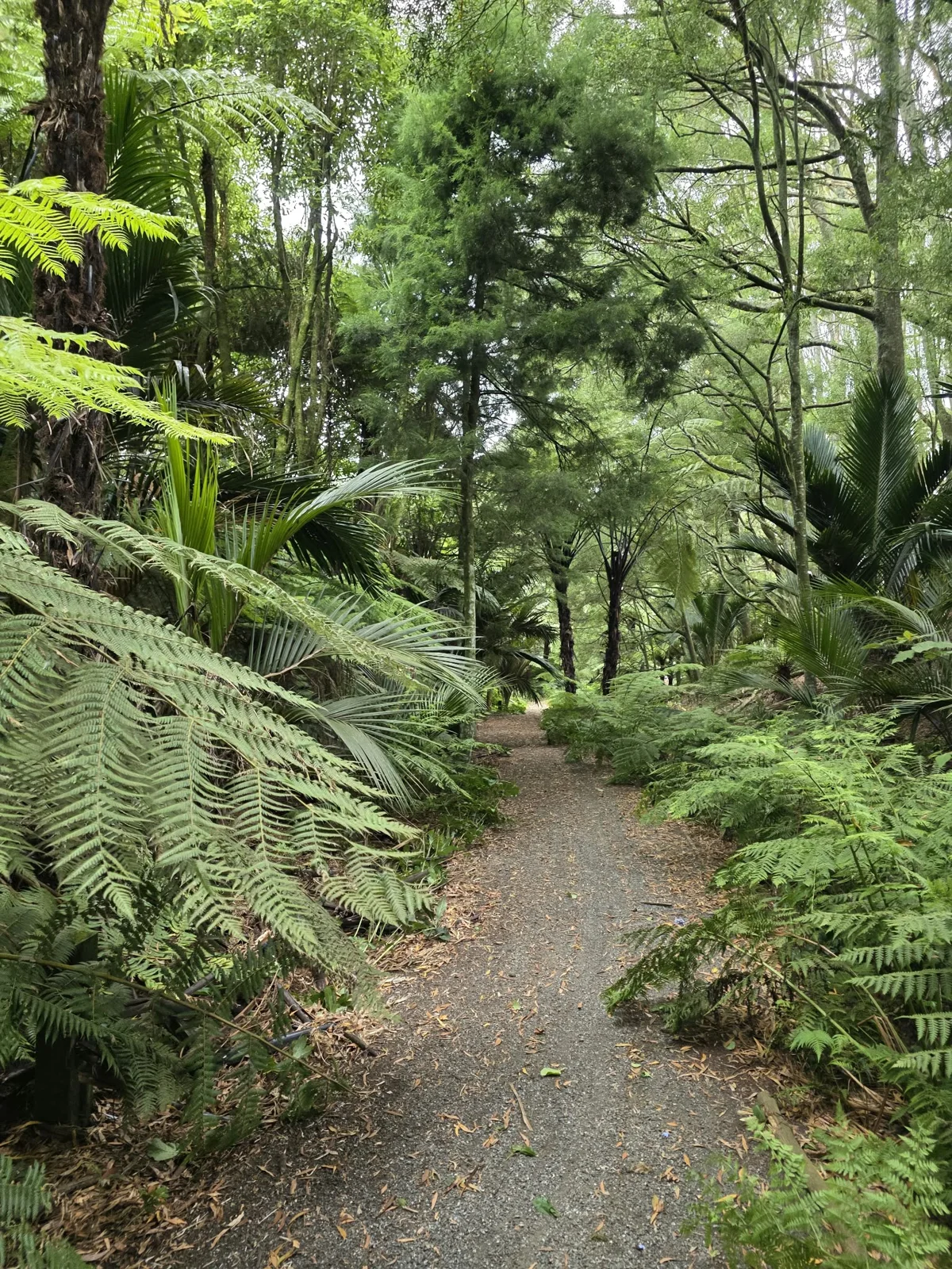 Takapoto Estate tour
