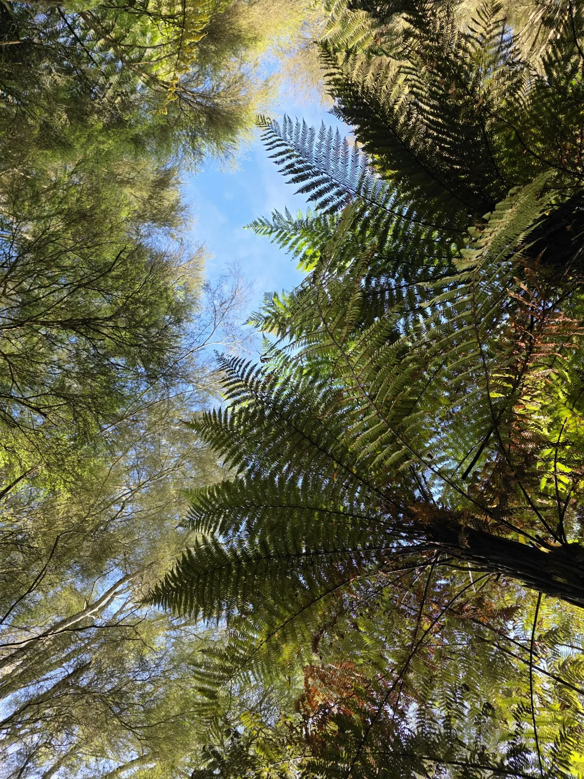 Takapoto Estate tour
