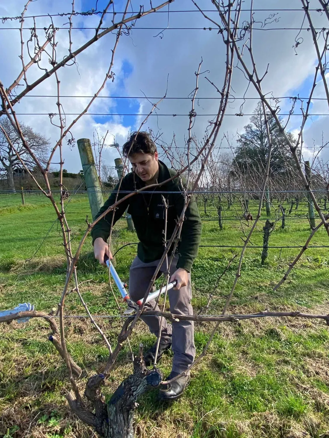 The Takapoto vineyard