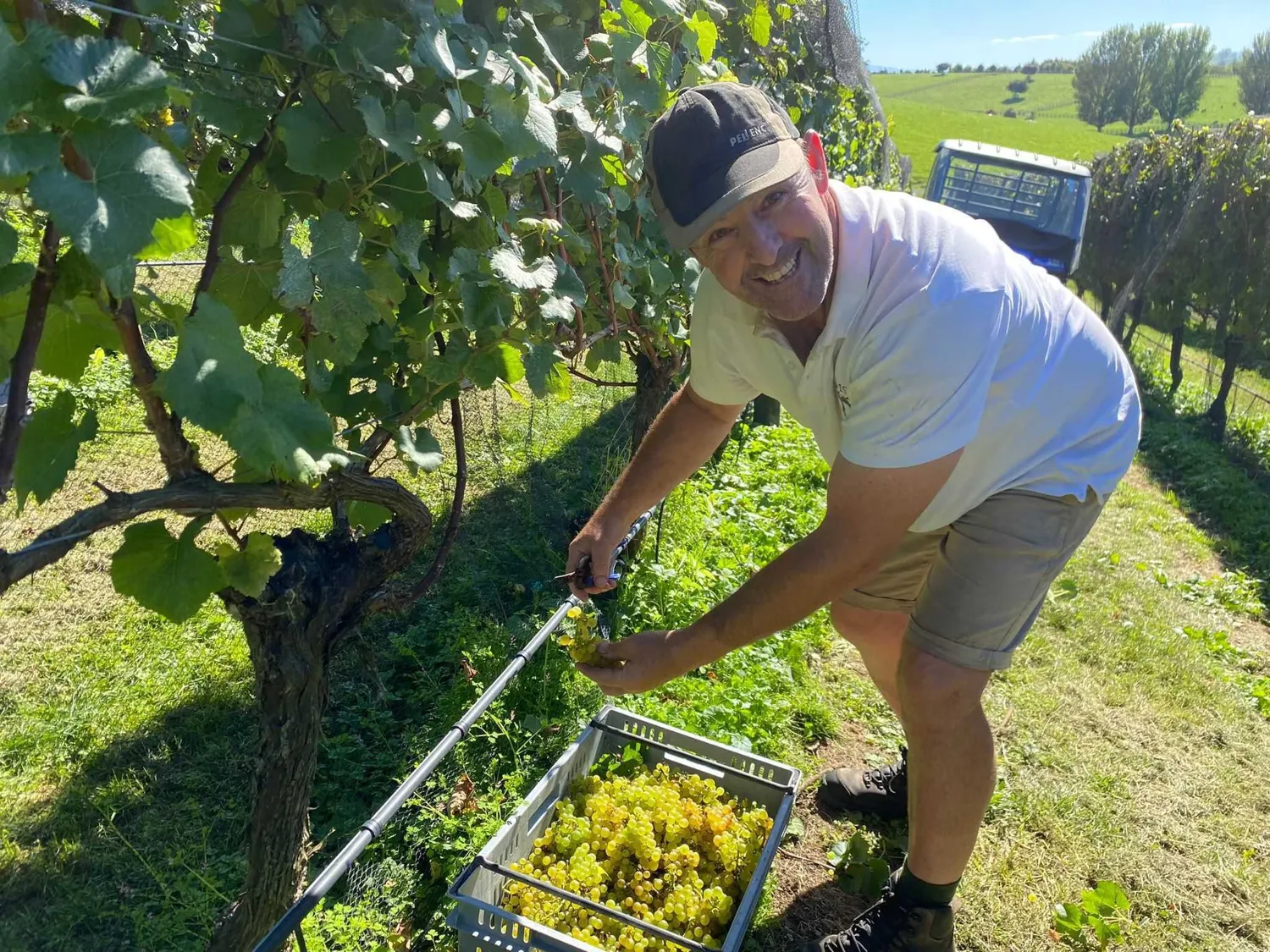 The Takapoto vineyard